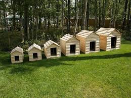 HOMEMADE DIY DOG & PUPPY HOUSES, KENNELS