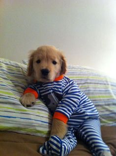 MAKE SEW COMFORTABLE WARM CUSTOM HOMEMADE DIY DOG PAJAMA, DOG & PUPPY PAJAMA FREE PATTERNS & PRINTS