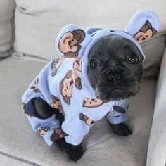 MAKE SEW COMFORTABLE WARM CUSTOM HOMEMADE DIY DOG PAJAMA, DOG & PUPPY PAJAMA FREE PATTERNS & PRINTS