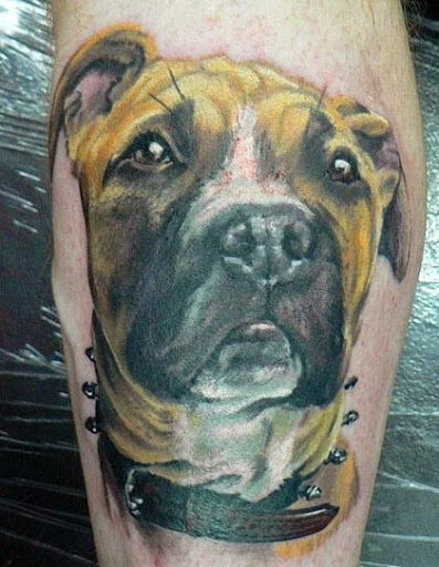 DOG TATTOO DESIGNS and IDEAS - AMAZING, STUNNING, WONDERFUL, 3D, COLORIFIC, ART, PORTRAITS, INK, PERMANENT, DOG TATTOOS FOR MAN & WOMAN