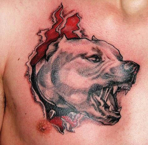 DOG TATTOO DESIGNS and IDEAS - AMAZING, STUNNING, WONDERFUL, 3D, COLORIFIC, ART, PORTRAITS, INK, PERMANENT, DOG TATTOOS FOR MAN & WOMAN