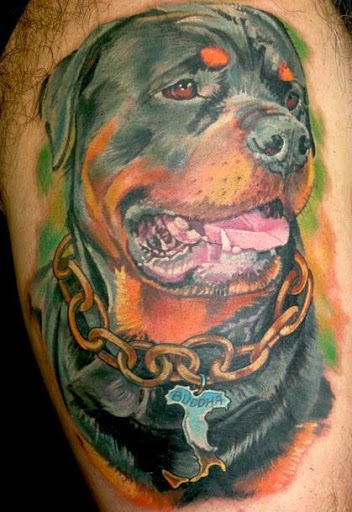 DOG TATTOO DESIGNS and IDEAS - AMAZING, STUNNING, WONDERFUL, 3D, COLORIFIC, ART, PORTRAITS, INK, PERMANENT, DOG TATTOOS FOR MAN & WOMAN