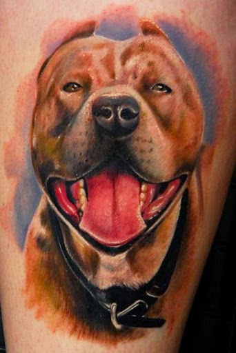 DOG TATTOO DESIGNS - AMAZING, STUNNING, WONDERFUL, 3D, COLORIFIC, ART, PORTRAITS, INK, PERMANENT, DOG TATTOOS FOR MAN & WOMAN