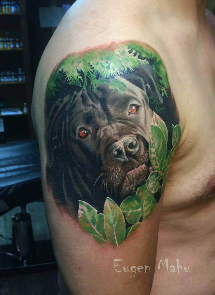 DOG TATTOO DESIGNS - AMAZING, STUNNING, WONDERFUL, 3D, COLORIFIC, ART, PORTRAITS, INK, PERMANENT, DOG TATTOOS FOR MAN & WOMAN