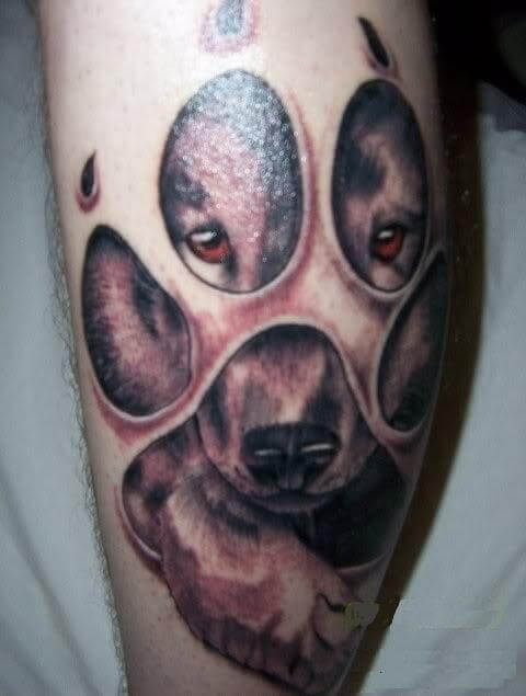 NATIONAL DOG TATTOO REGISTER DATABASES, ONLINE DOG TATTOO REGISTER