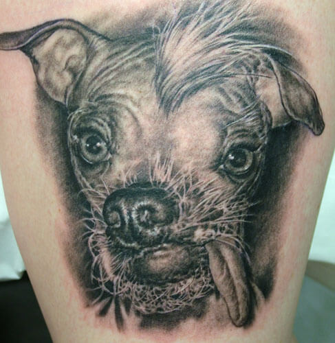 DOG TATTOO DESIGNS - AMAZING, STUNNING, WONDERFUL, 3D, COLORIFIC, ART, PORTRAITS, INK, PERMANENT, DOG TATTOOS FOR MAN & WOMAN