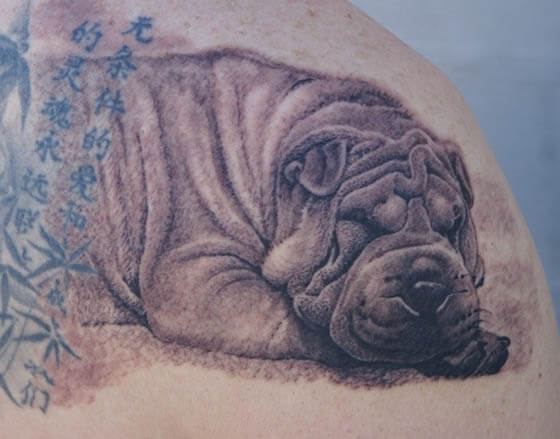 BEST PUG DOG TATTOO DESIGNS