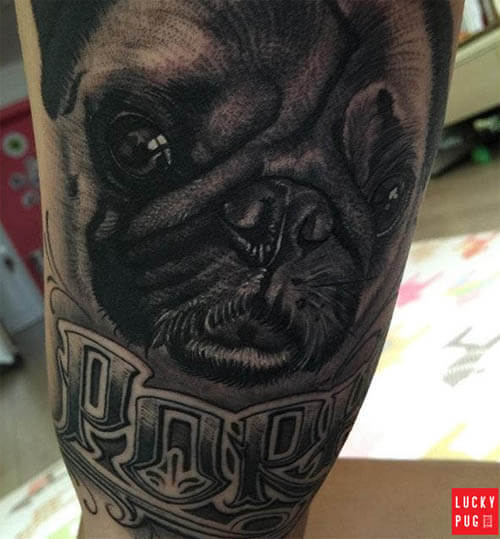 BEST PUG DOG TATTOO DESIGNS