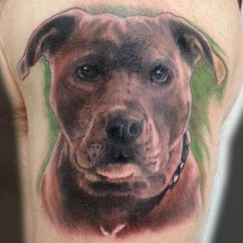 DOG TATTOO DESIGNS - AMAZING, STUNNING, WONDERFUL, 3D, COLORIFIC, ART, PORTRAITS, INK, PERMANENT, DOG TATTOOS FOR MAN & WOMAN