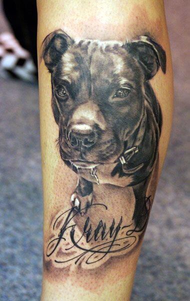 BEST PORTRAIT DOG TATTOO DESIGNS