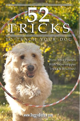 Dog Tricks