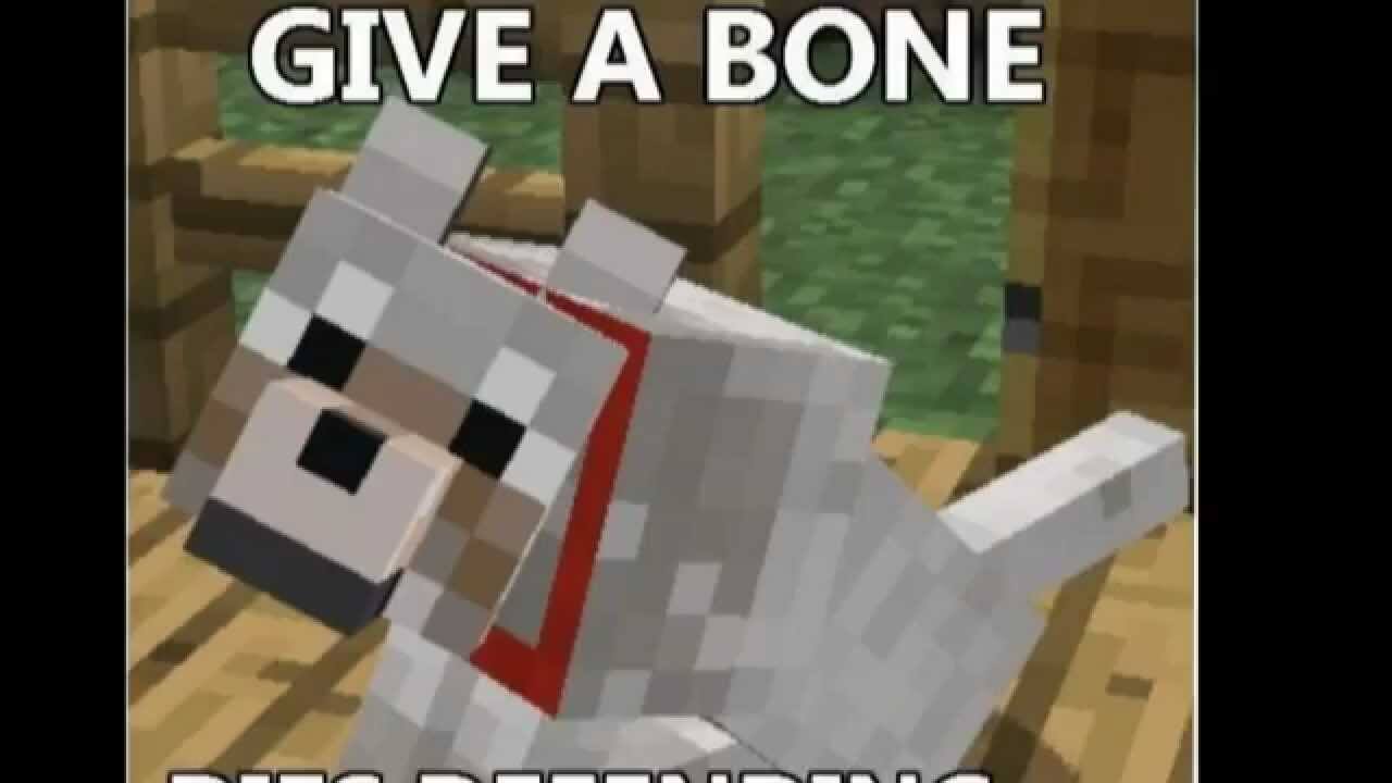 Minecraft Dog & Puppy Best Video