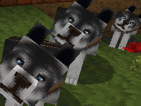 Minecraft Dog Maps