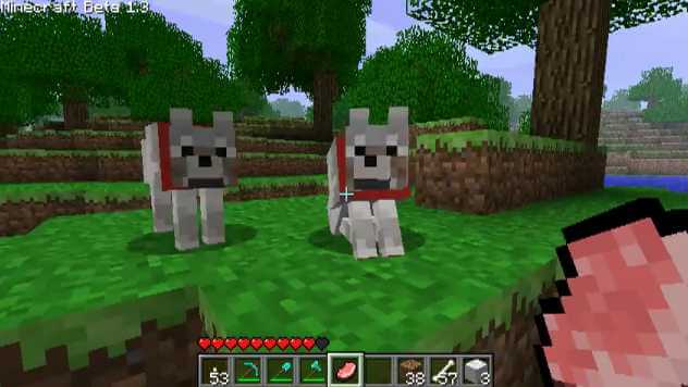 Download Free Dog Puppy Minecraft 2016 2017, Textures, Videos,  Mods, Images, Updates