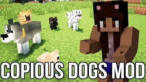 Dog Minecraft Build Pe Download, Textures, Mods, Images, Videos, Updates, Download Minecraft 2016, 2017, free