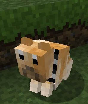 Dog Minecraft Build Pe Download, Textures, Mods, Images, Videos, Updates, Download Minecraft 2016, 2017, free