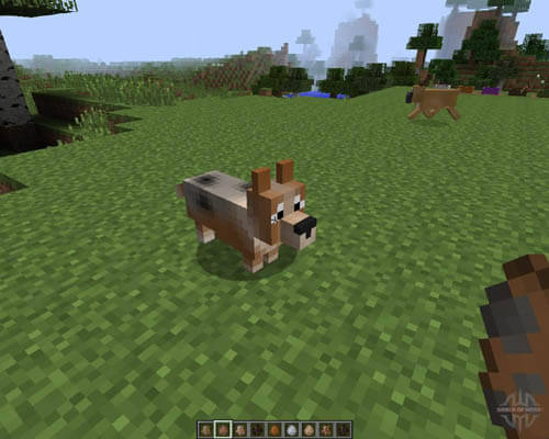 Dog Minecraft Build Pe Download, Textures, Mods, Images, Videos, Updates, Download Minecraft 2016, 2017, free