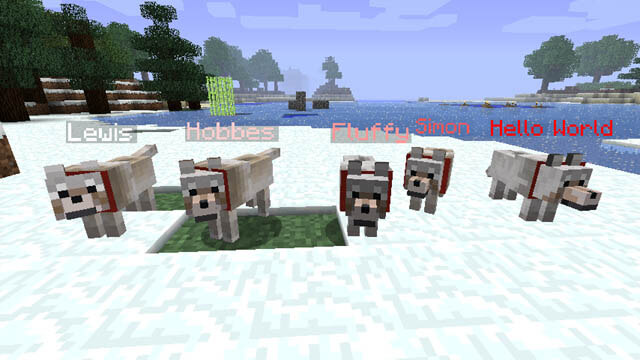 Minecraft Dog - Tame, Breed, Build, Mods, Faces, Skins, Textures