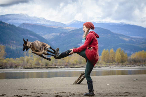 Dog Tricks, Obedience, Dog Training & Teaching Techniques & Video