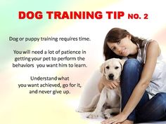 Dog Training Tips & Techniques