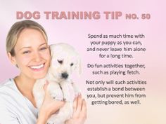 Dog Training Tips & Techniques