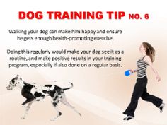 Dog Training Tips & Techniques