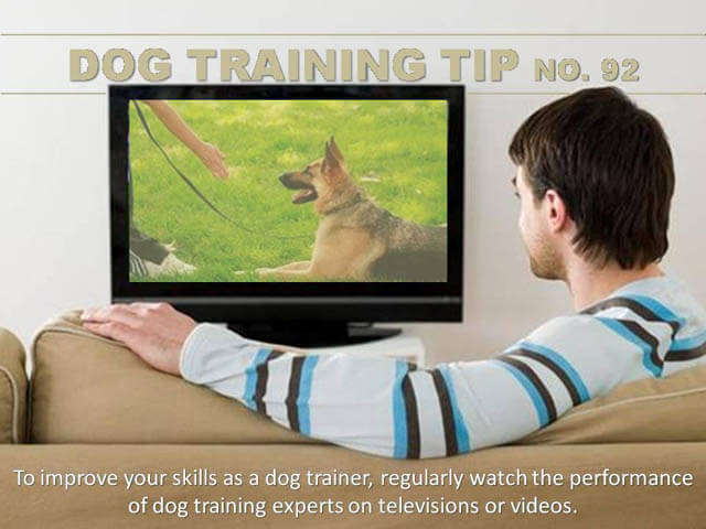 Dog Training Tips & Techniques