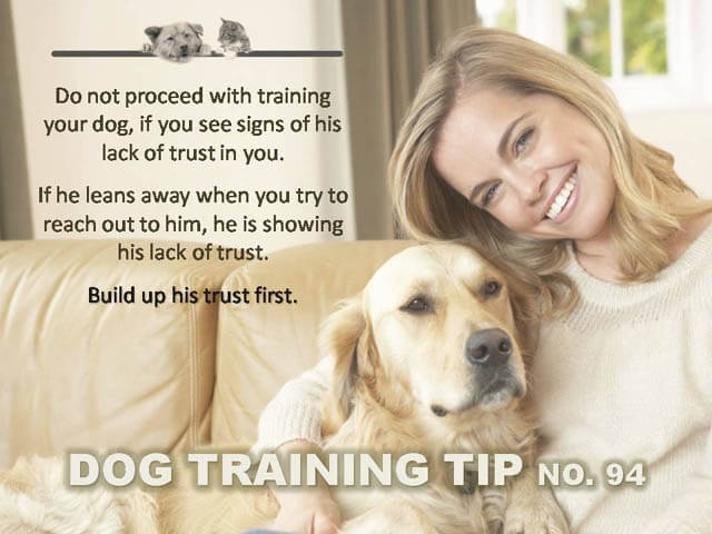 Dog Training Tips & Techniques