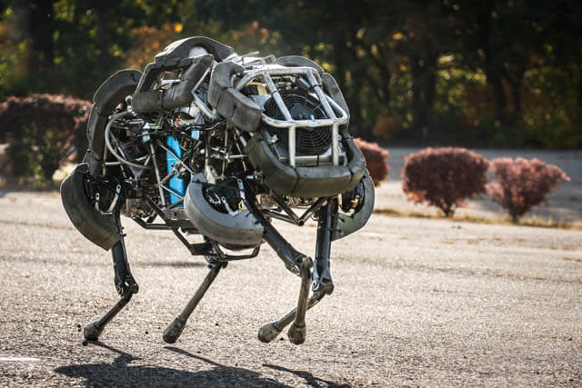 BOSTON DYNAMICS ROBOTIC DOGS - THIS PHOTO COURTESY of BOSTON DYNAMICS