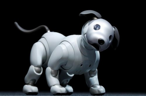 ROBOT DOG TOYS GUIDE