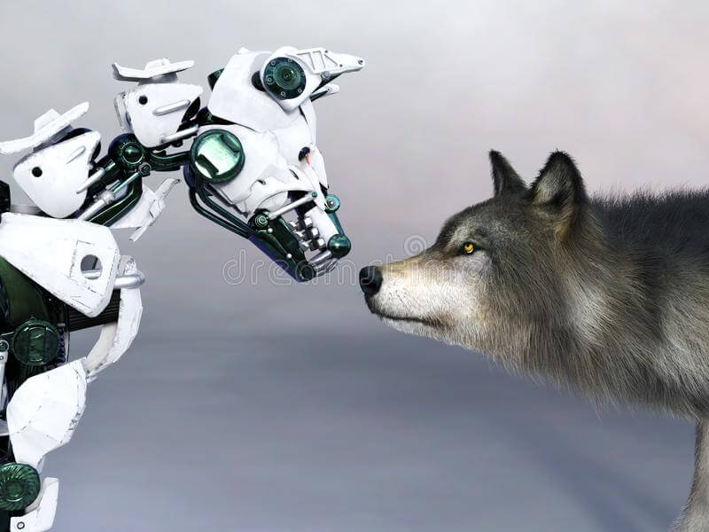 GOOGLE ARTIFICIAL INTELLIGENCE vs ROBOTIC DOGS