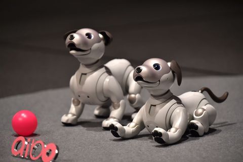 BEST ROBOT DOG TOYS FOR KIDS - BUYING GUIDE