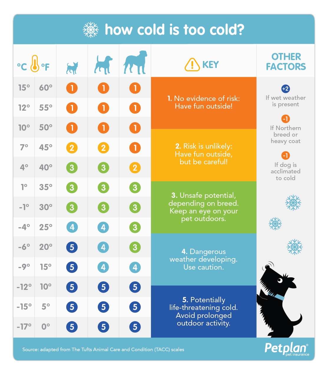 Dog and Puppy Infograms, Infographics