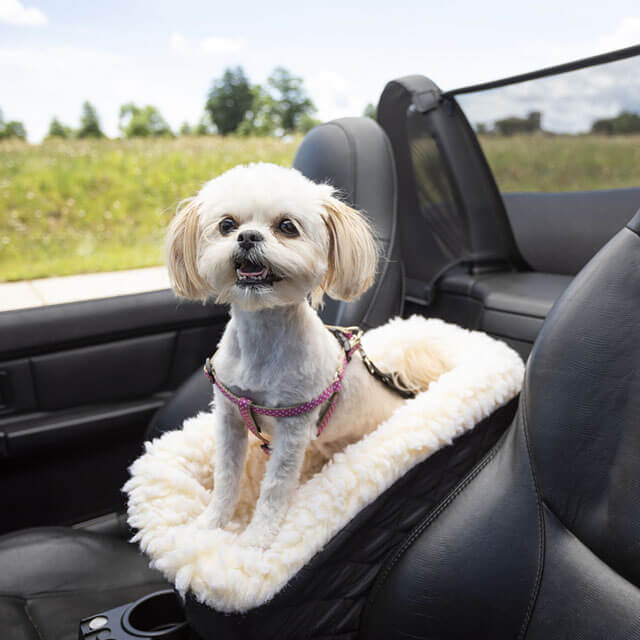 Best Dog Car Barriers