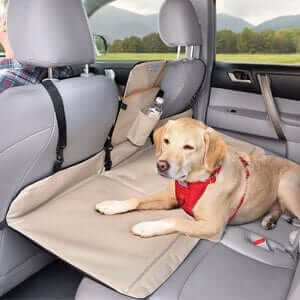 Best Dog Car Barriers, Harness, Belt