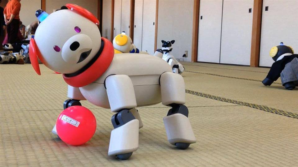 BEST ROBOT DOG TOYS FOR KIDS - BUYING GUIDE