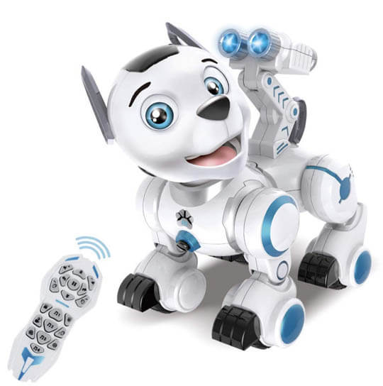 BUY ONLINE THIS ROBOT DOG