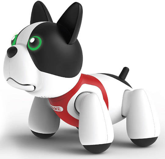 BUY ONLINE THIS ROBOT DOG