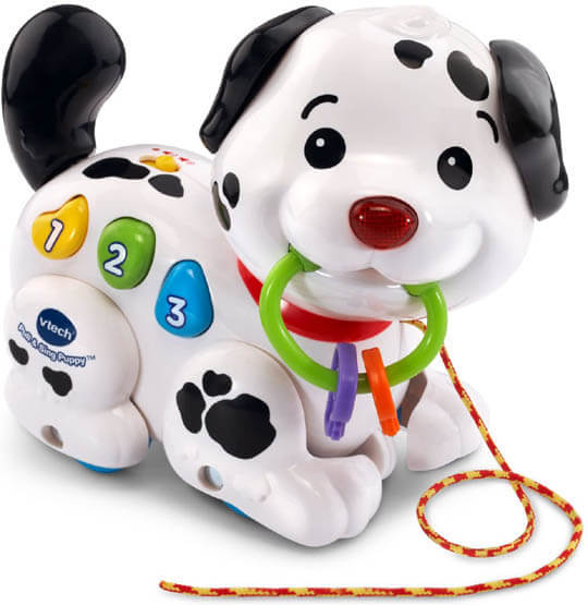 BUY ONLINE THIS ROBOT DOG