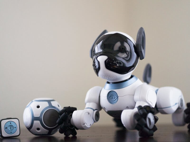 BEST ROBOT DOG TOYS FOR KIDS - BUYING GUIDE