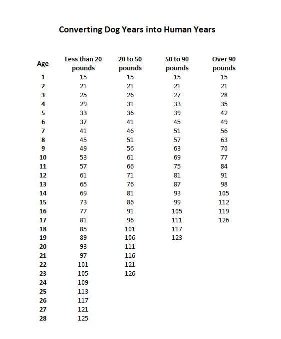 DOG vs HUMAN AGE