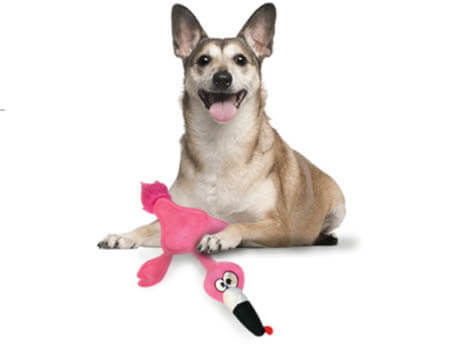 Best Toys for Senior Older Dogs