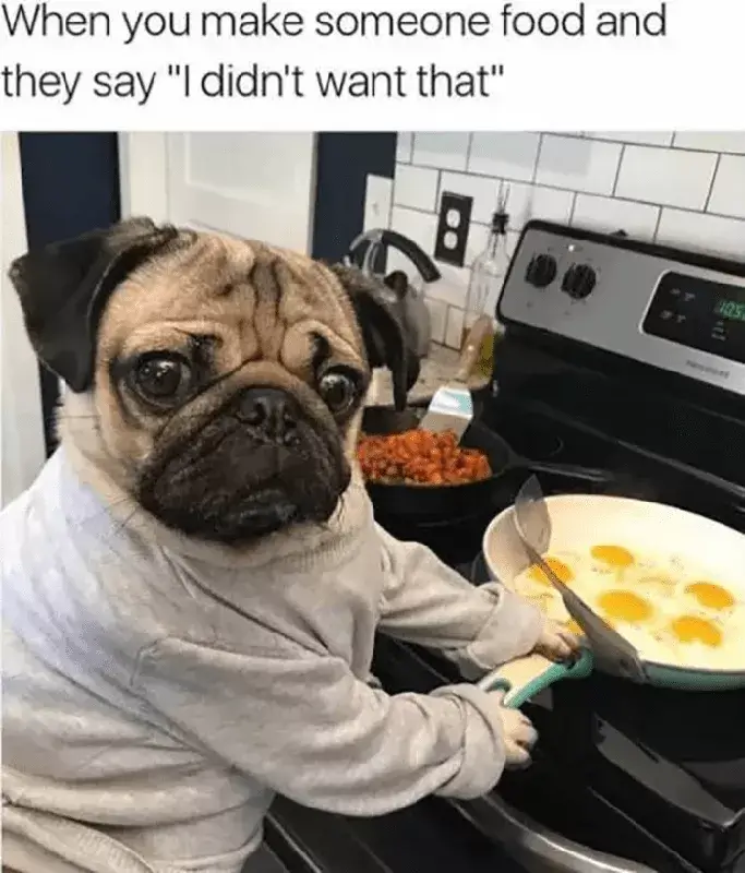 FUNNY DOG MEMES, BEST DOG MEMES