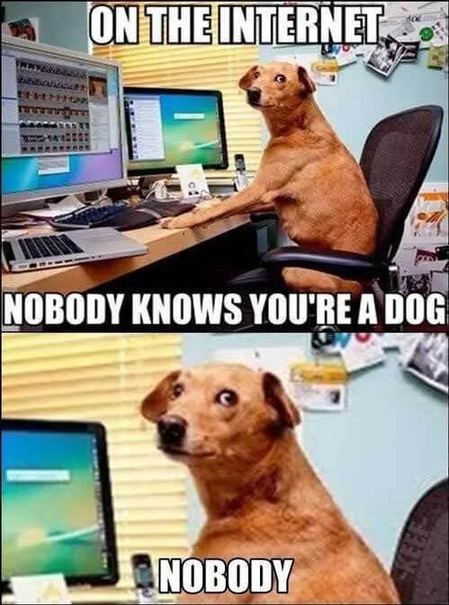 FUNNY DOG MEMES, BEST DOG MEMES