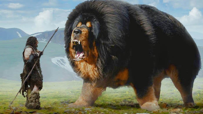 THE OLDEST DOG BREEDS: ANCIENT, PRIMITIVE & EXTINCT