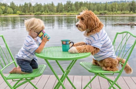 BEST 35 DOG BREEDS FOR KIDS!