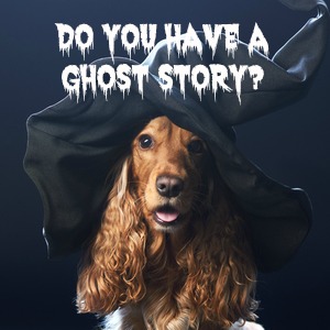 DOG and GHOST, MYTHOLOGY