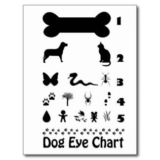 DOG VISION and EYES (c) by ROBERT BROWN