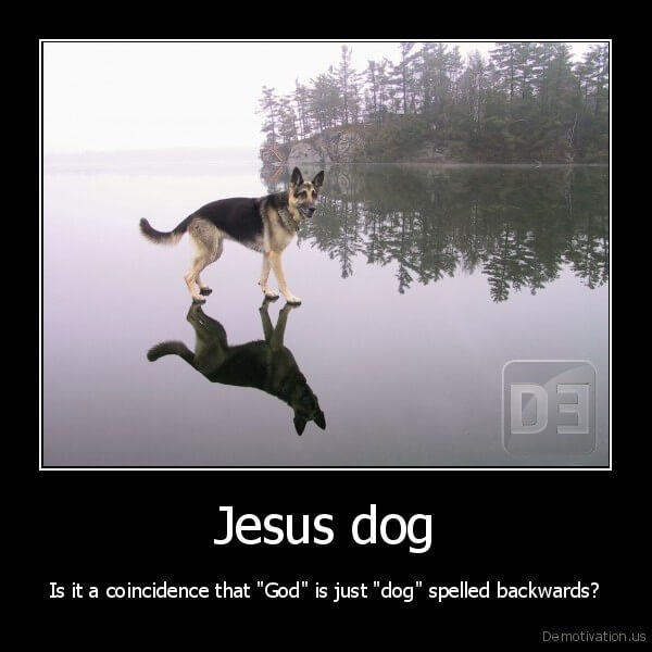 Dog demotivators and graphics