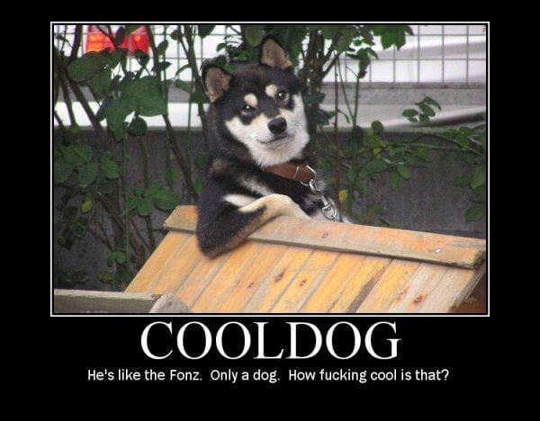 Dog demotivators and graphics